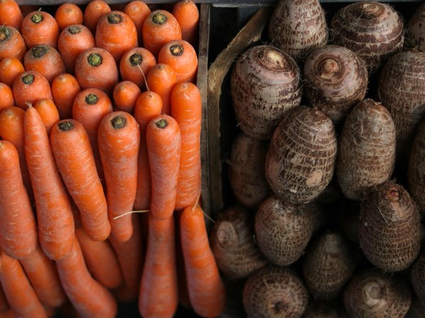 Quels sont les éléments clés pour concevoir un menu de plats à base de champignons sauvages dans un restaurant gastronomique ?