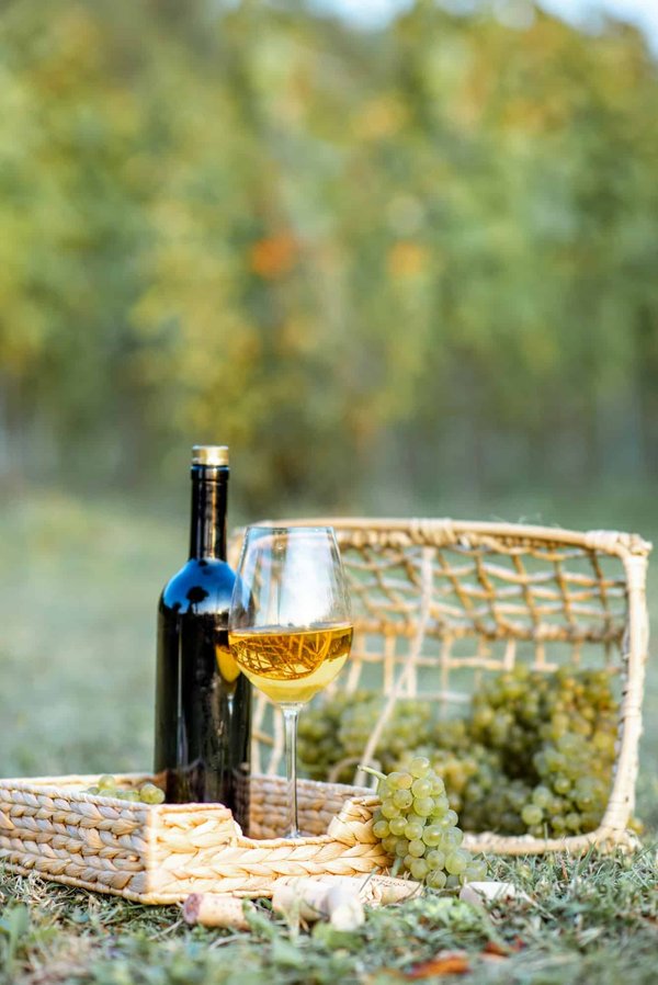 Découvrez la vente de vins sans alcool moderato